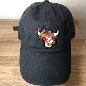 Chicago Bulls Dad Hat!